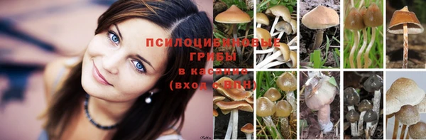 дживик Пестово