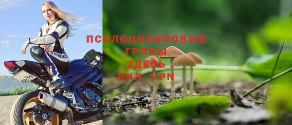 дживик Пестово