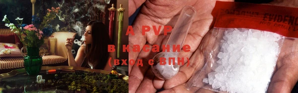 дживик Пестово
