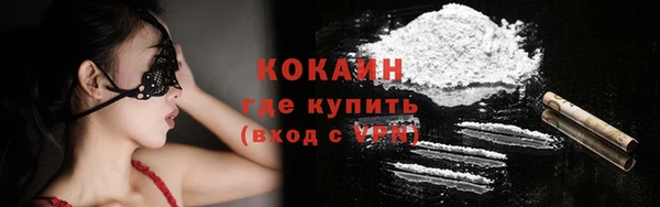 дживик Пестово