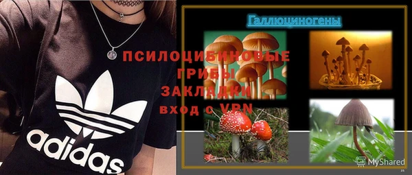 дживик Пестово