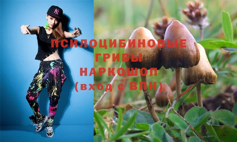 Псилоцибиновые грибы Magic Shrooms  МЕГА зеркало  Семилуки 