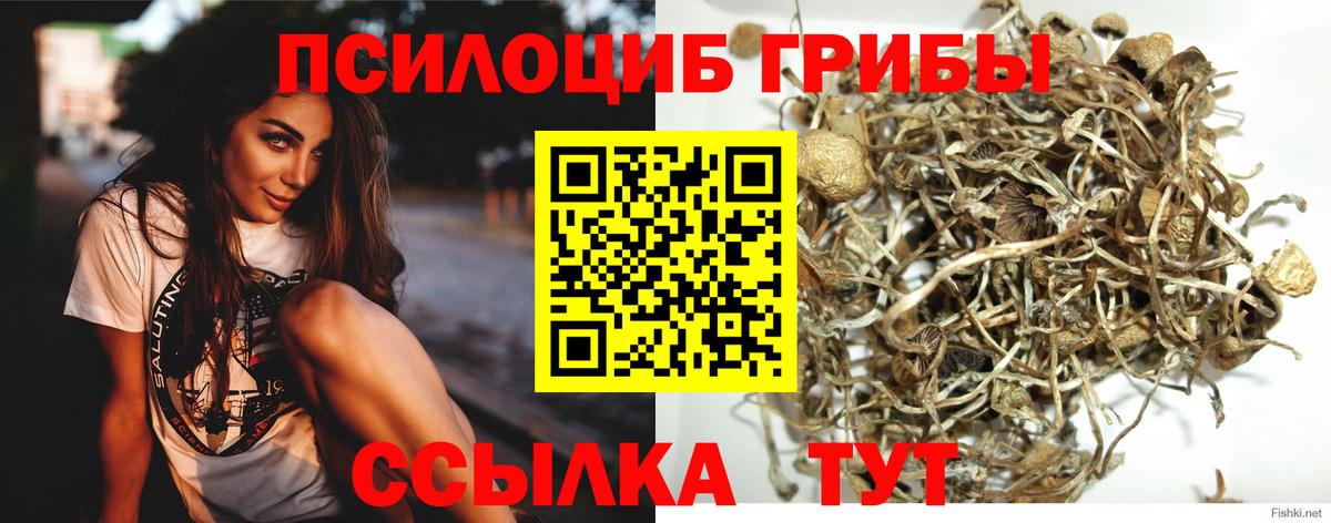 Галлюциногенные грибы Magic Shrooms  Псилоцибиновые грибы MAGIC MUSHROOMS  закладка  Семилуки  Вход с VPN 