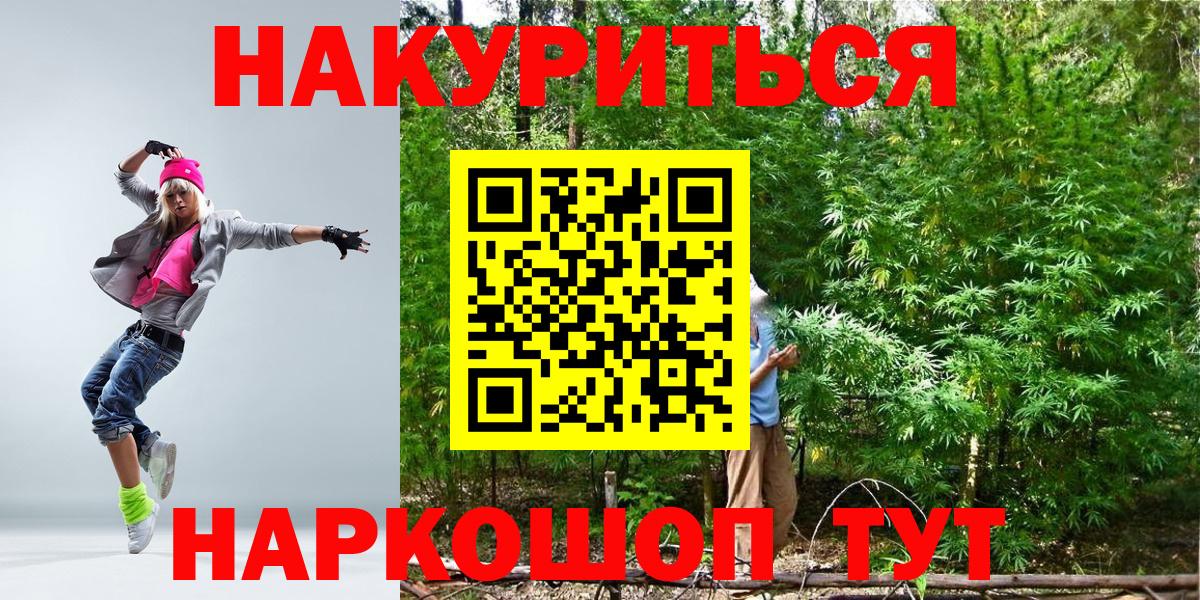 Конопля гибрид Семилуки